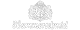 http://www.hammerschmid-gmbh.de/